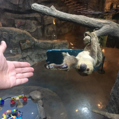 897